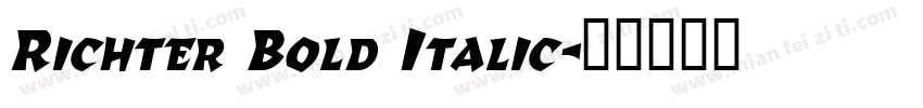 Richter Bold Italic字体转换